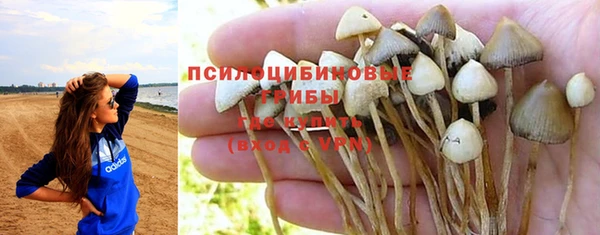 apvp Протвино